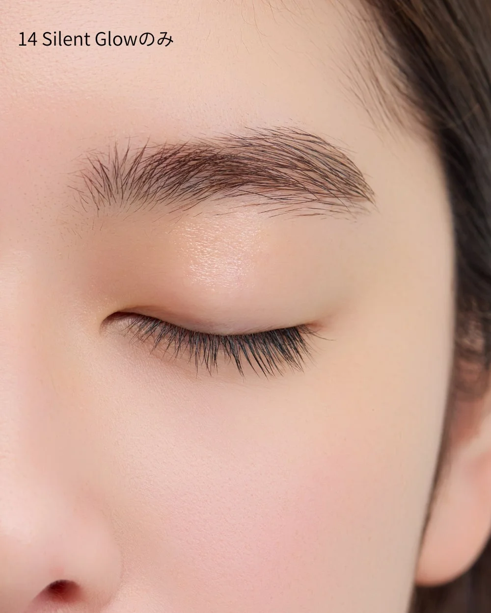 DIDION SINGLE EYECOLOR 14 Silent Glow 使用例