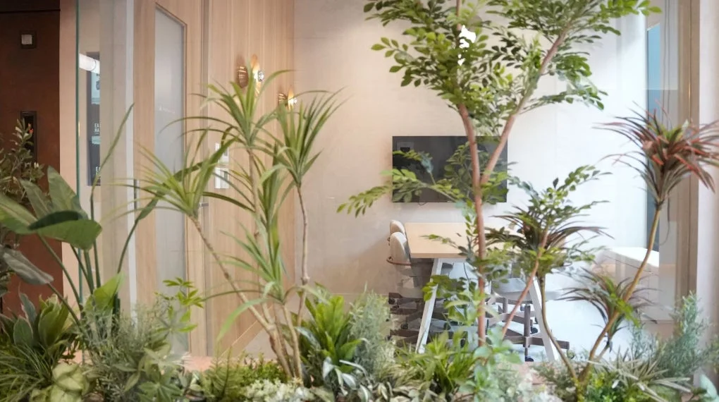 モダンなオフィス空間に置かれた観葉植物