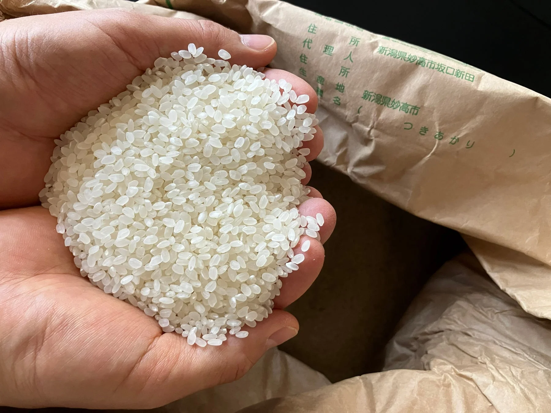 手のひらに盛られた「つきあかり」米