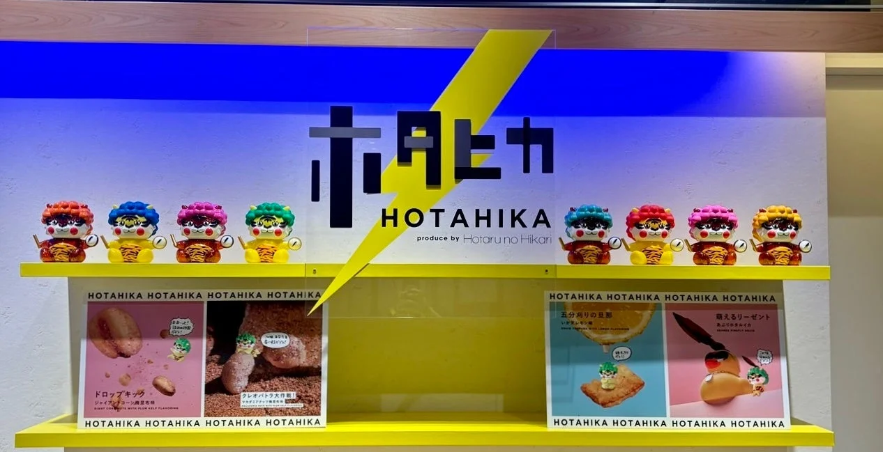 ホタヒカの店舗ディスプレイ