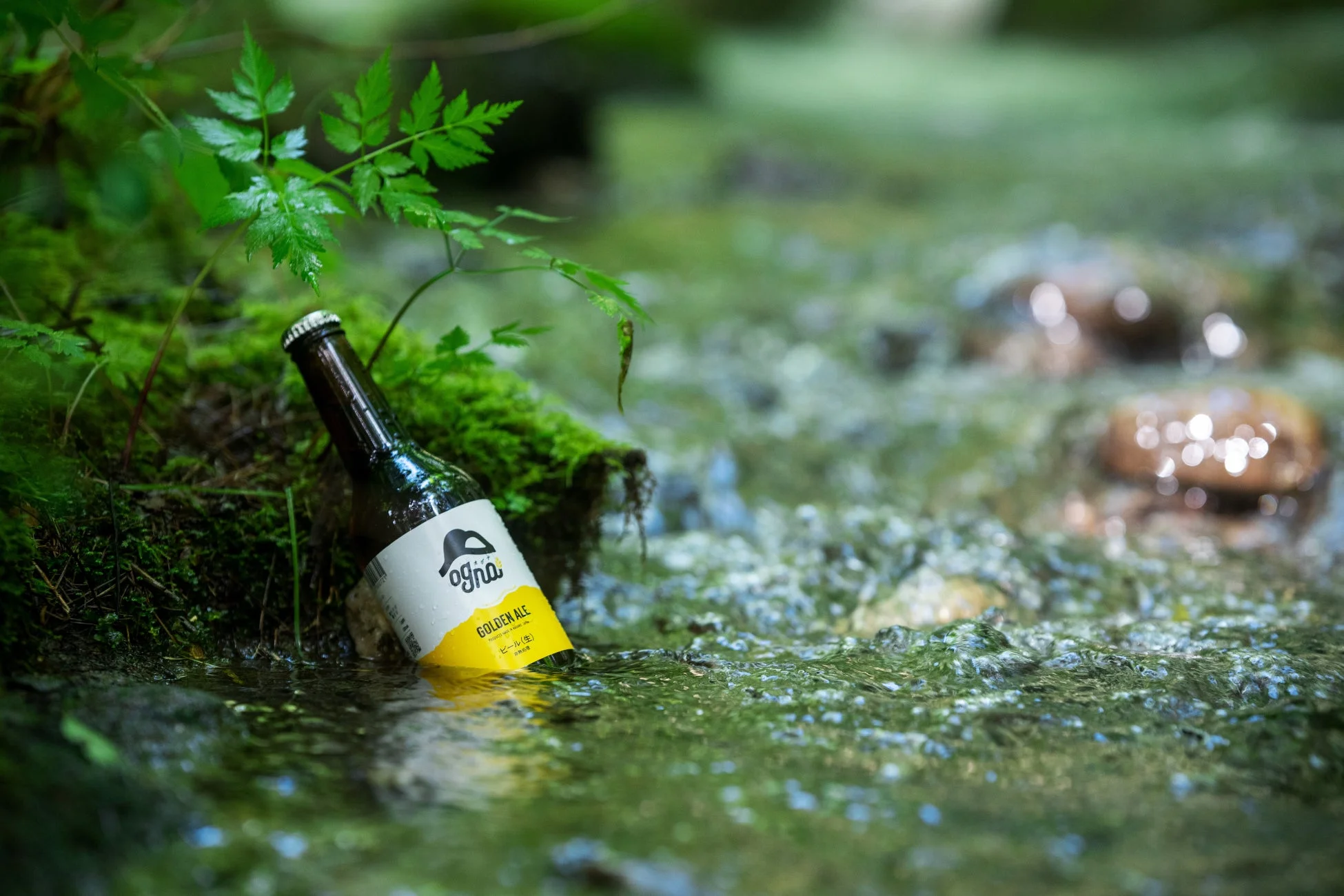 小川に置かれたビール瓶