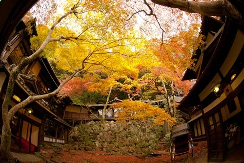 紅葉に囲まれた日本家屋
