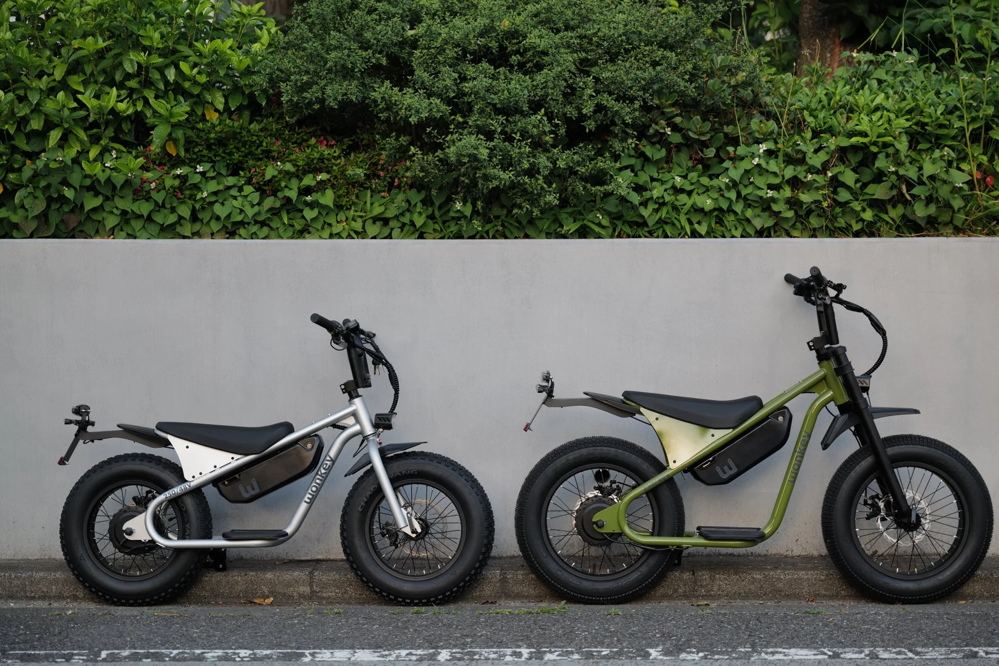 2台の電動アシスト自転車