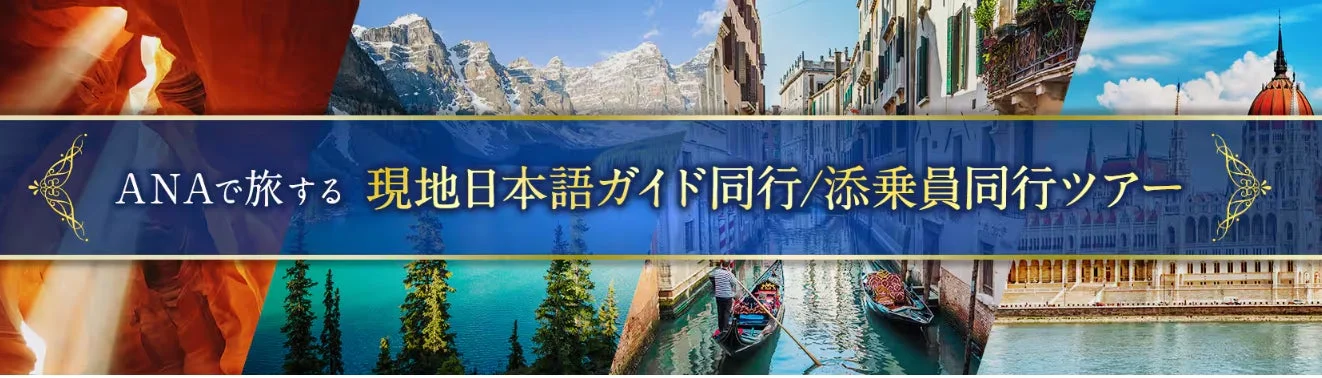 ANAで旅する 現地日本語ガイド同行/添乗員同行ツアー