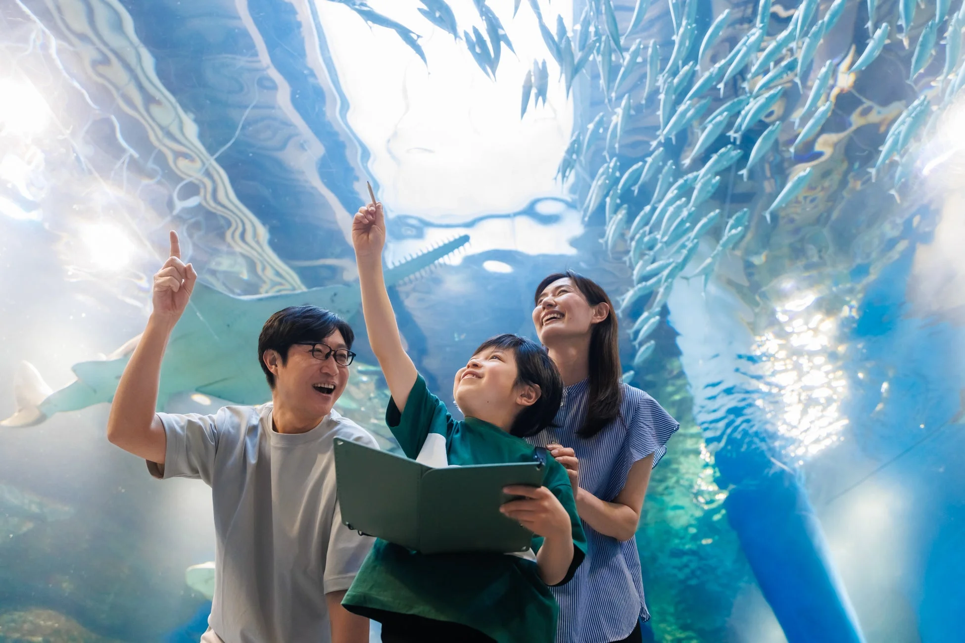 家族が水族館で、頭上を泳ぐ魚たちを指差しながら楽しんでいる様子。子供は本を手に持ち、皆笑顔で水槽を見上げています。