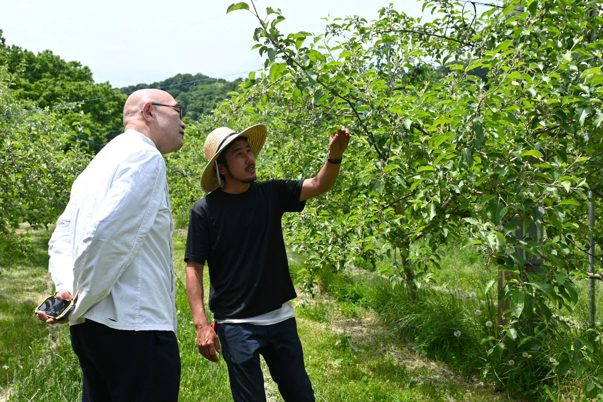 果樹園での会話