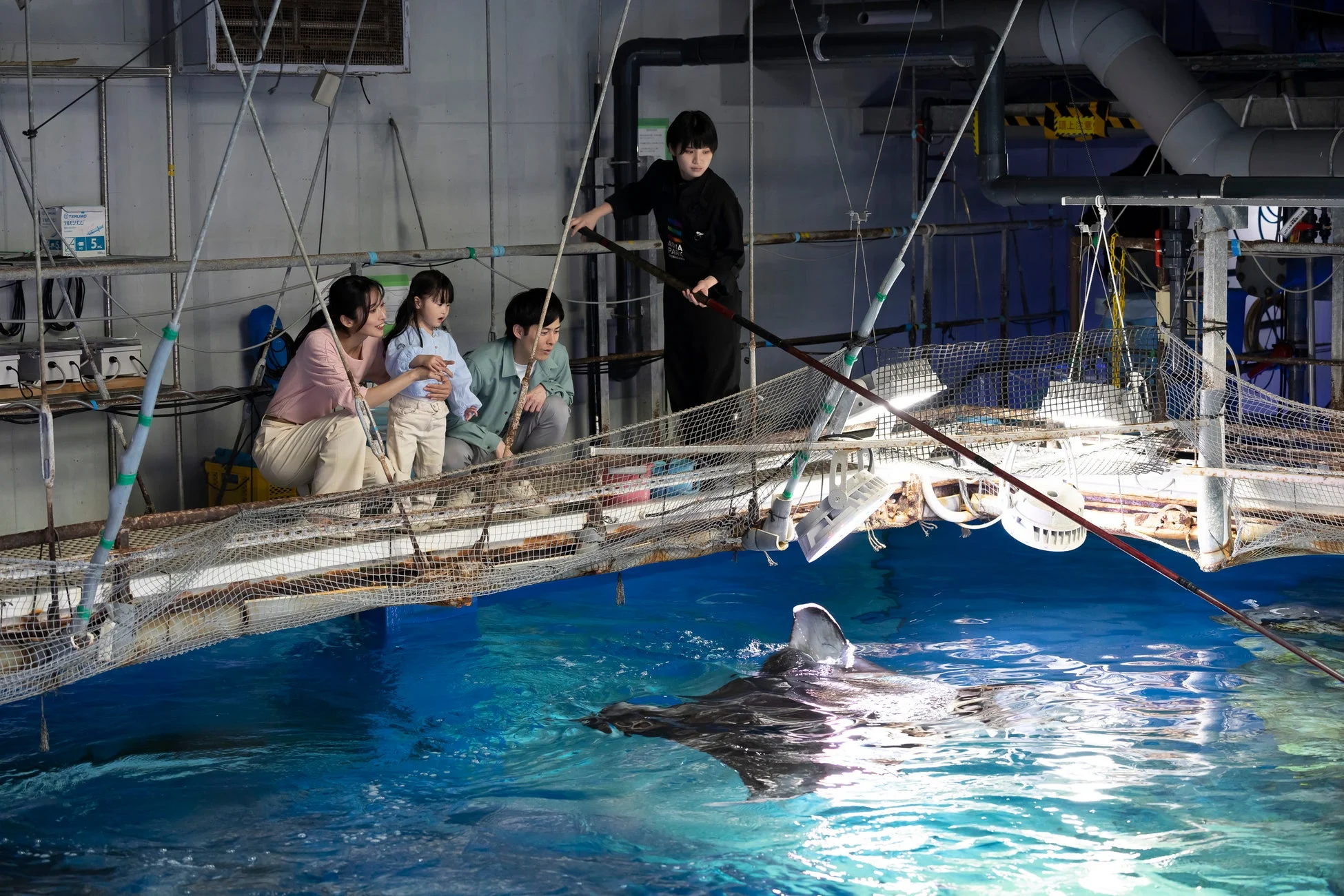 水族館の特別な場所で、家族連れが飼育員と一緒に大きなエイを観察しています。飼育員は長い棒でエイに餌を与えているようで、子供は母親に抱きかかえられ、興味深く水槽を覗き込んでいます。