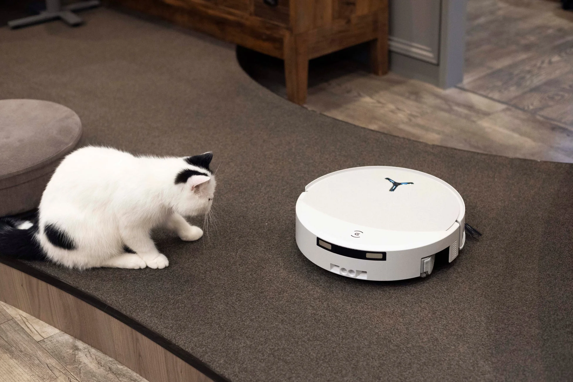 猫とロボット掃除機