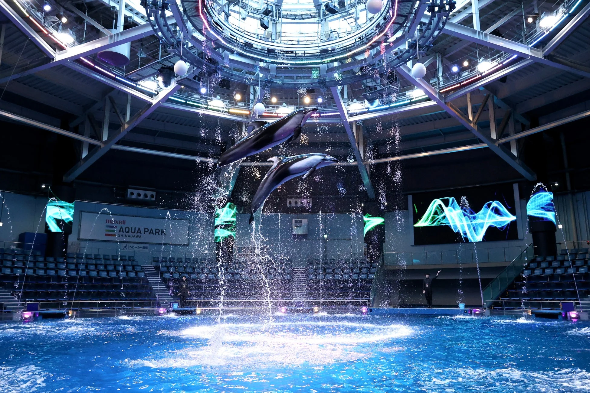 品川の屋内水族館「マクセル アクアパーク品川」で行われているイルカショーの様子。2頭のイルカが水しぶきを上げながら高くジャンプしており、カラフルな照明とスクリーン演出が会場を彩っています。