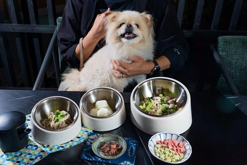 犬と食事