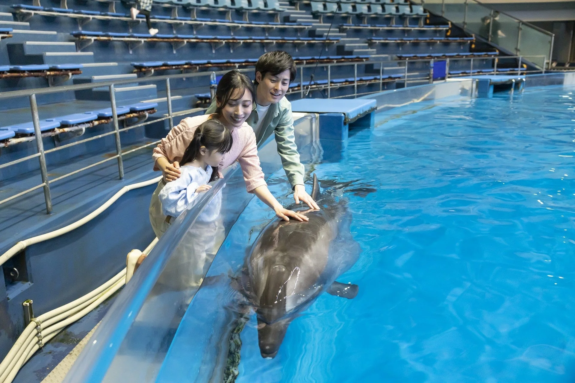 水族館のプールで、両親と幼い娘がイルカに優しく触れ合っている様子です。家族は笑顔で、イルカとの貴重な体験を楽しんでいます。