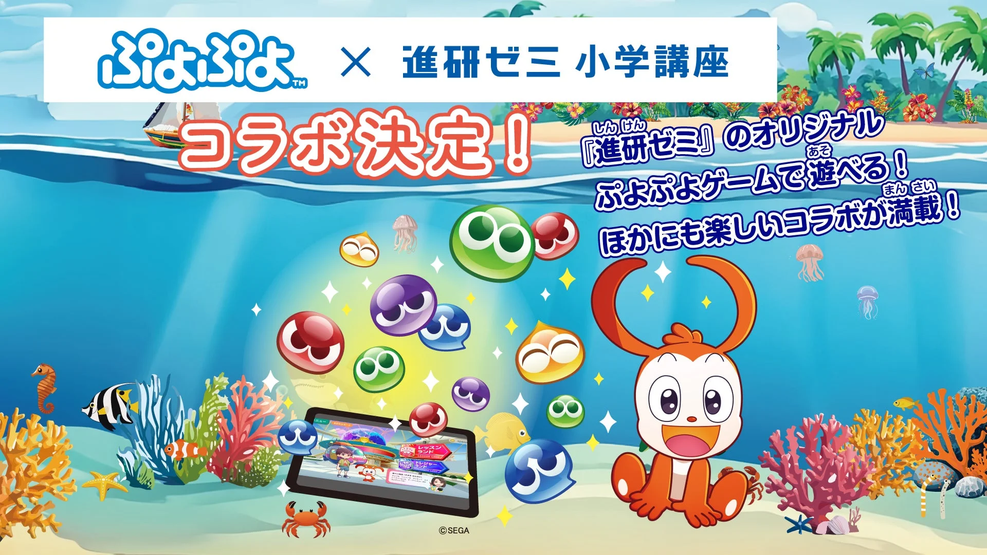 ぷよぷよと進研ゼミ小学講座のコラボ決定告知