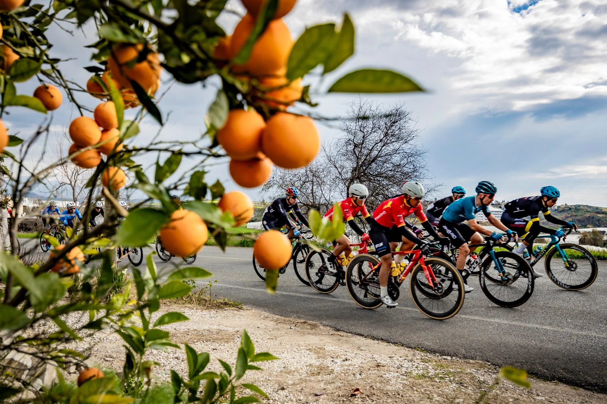 自転車レース、サイクリング、ロードレース、選手