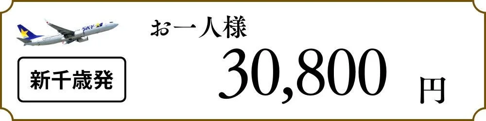新千歳発の料金表示