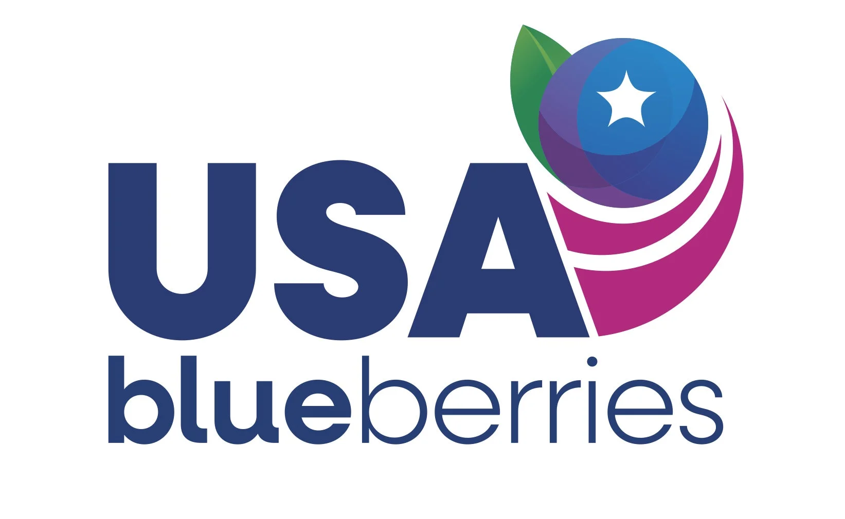 USA blueberriesロゴ