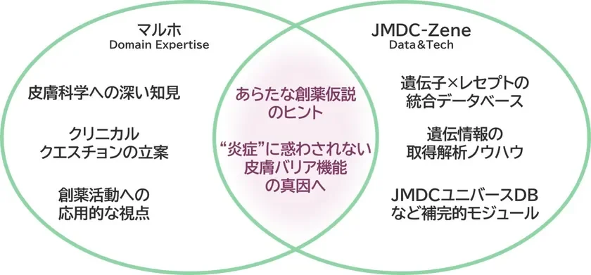 プロジェクト概要イメージ