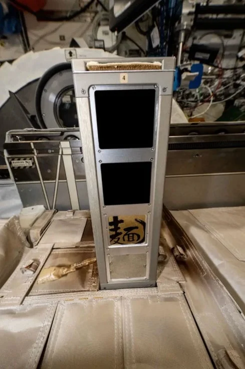 宇宙空間曝露された食材