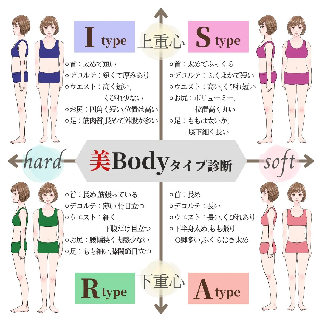 美Bodyタイプ診断のチャート