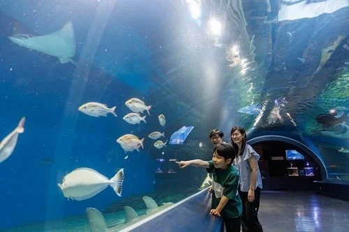 水族館の水中トンネルで、親子連れがたくさんの魚やエイが泳ぐ様子を楽しんでいる光景です。子供が指をさして魚に注目しており、家族の楽しい雰囲気が伝わります。