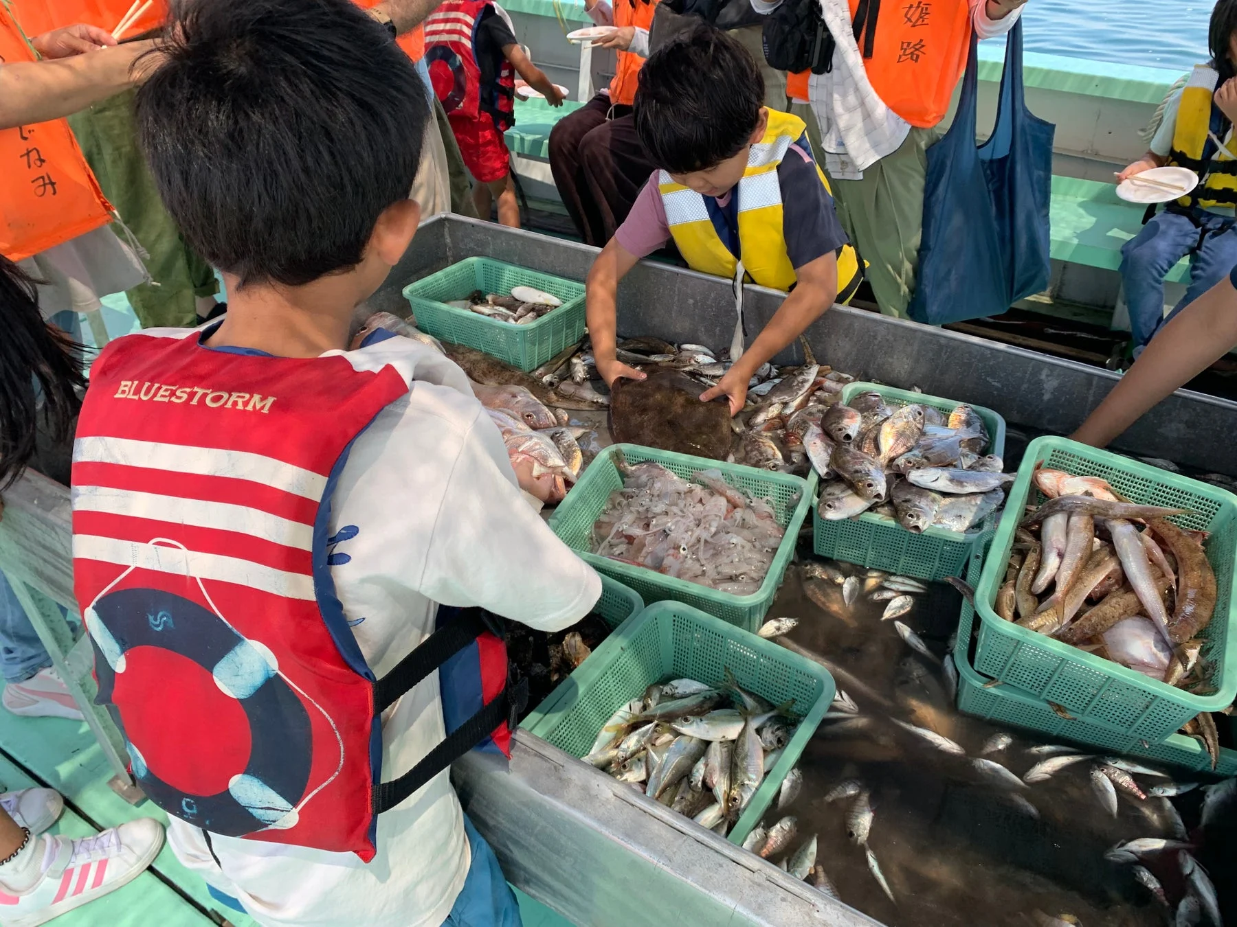 船上で魚を仕分ける子供たち