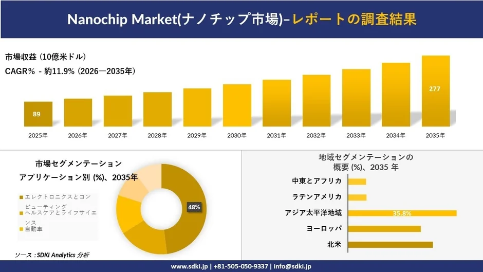ナノチップ市場の収益とセグメンテーション