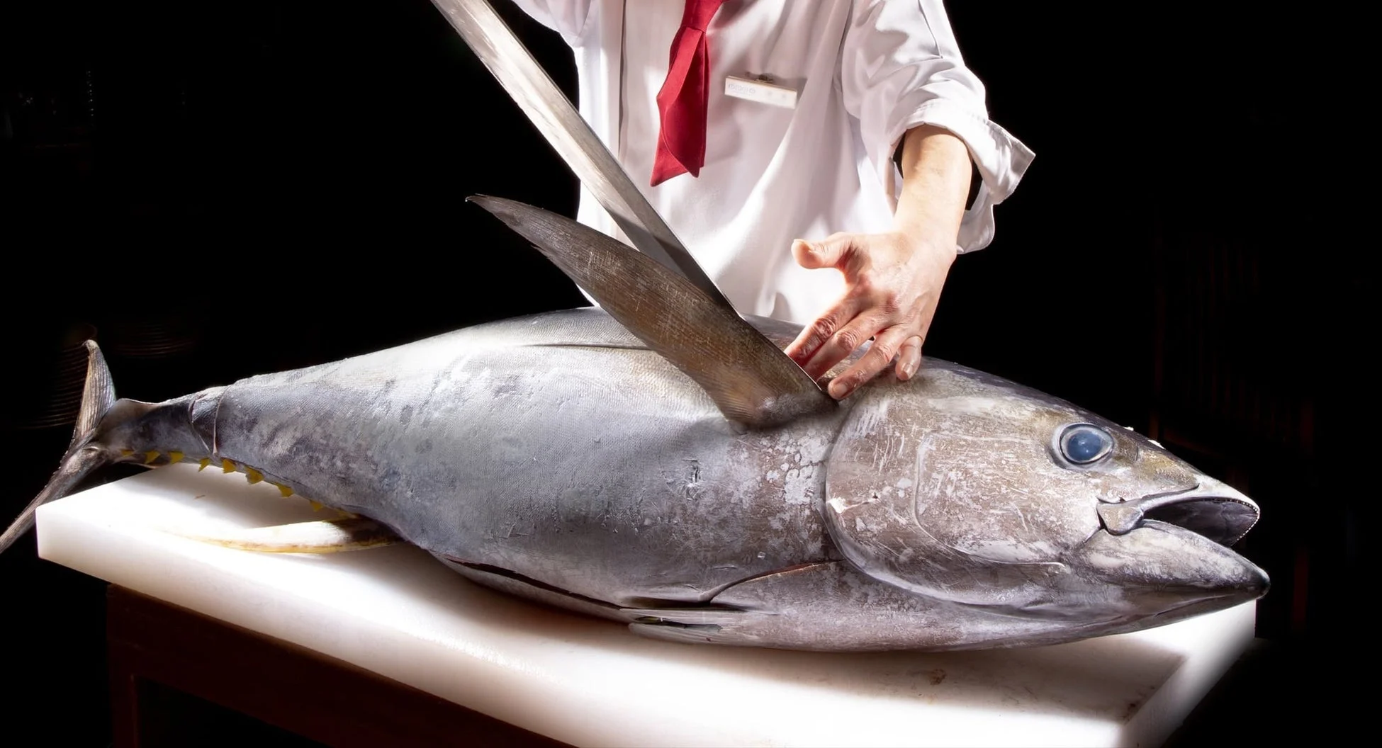 巨大なマグロの解体作業
