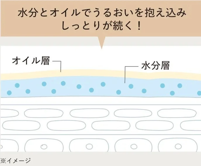水分とオイルでうるおいを抱え込みしっとりが続く