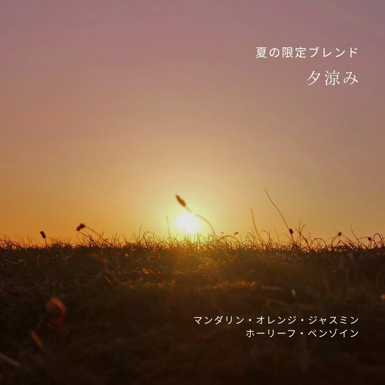 夏の限定ブレンド 夕涼み マンダリン・オレンジ・ジャスミン ホーリーフ・ベンゾイン