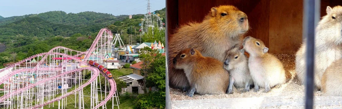 日立かみね公園の遊園地とカピバラ