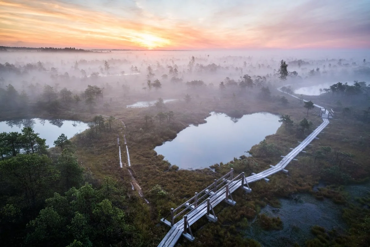 キェメリ国立公園のような湿地の自然風景