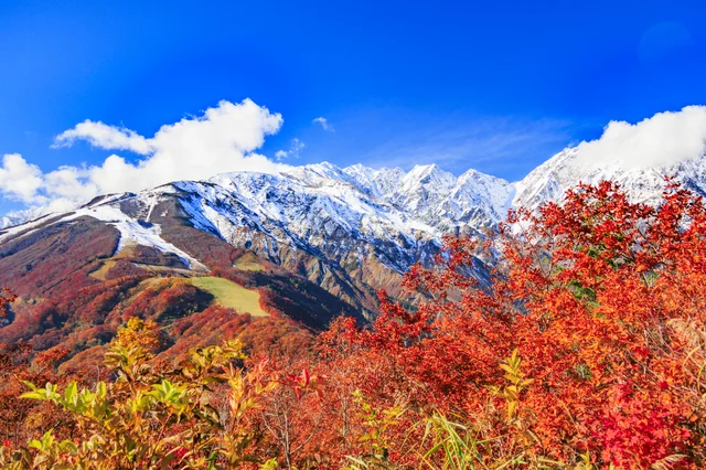 北アルプスの雪山と紅葉