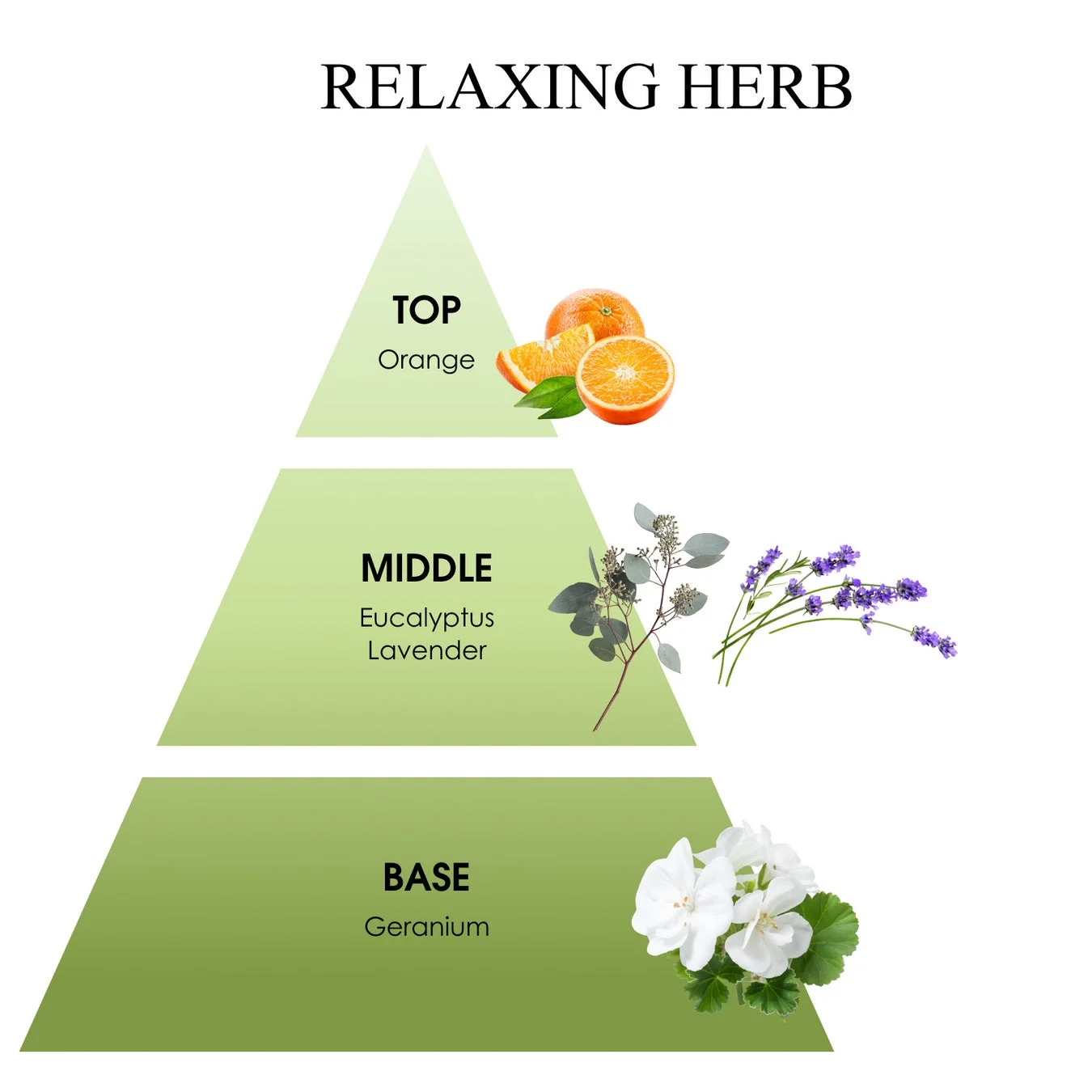 Relaxing Herb Scent Profile