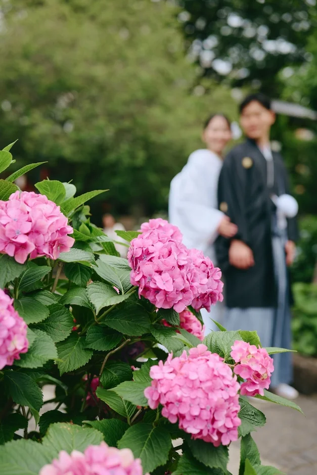 ピンクの紫陽花が咲き誇る中、和装の新郎新婦が笑顔で立つ美しい屋外のシーン。