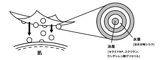 美容成分の構造図