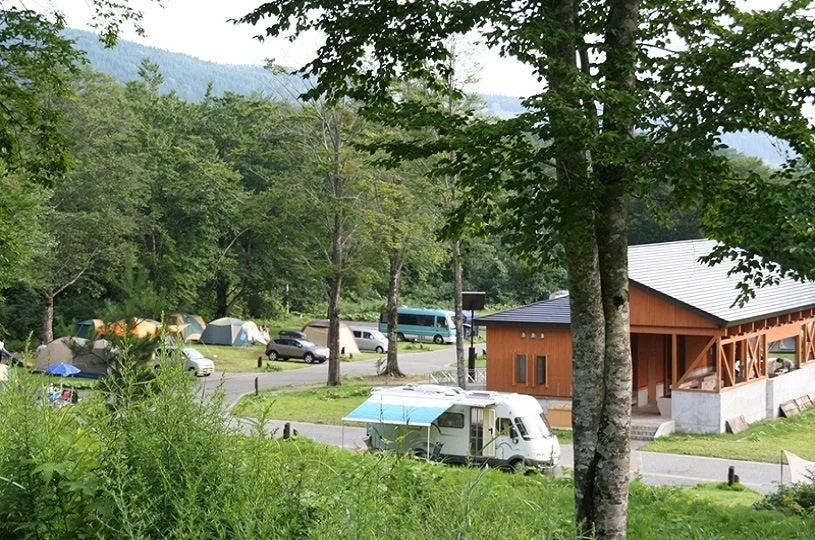緑豊かな森の中にあるキャンプ場の風景