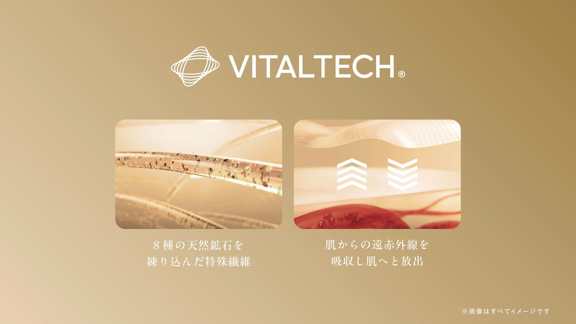 VITALTECH®の機能説明図