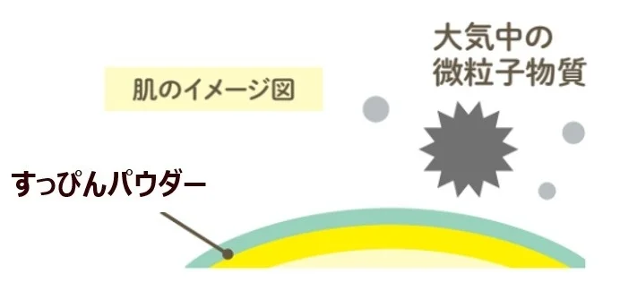 肌のイメージ図と大気中の微粒子物質からの保護