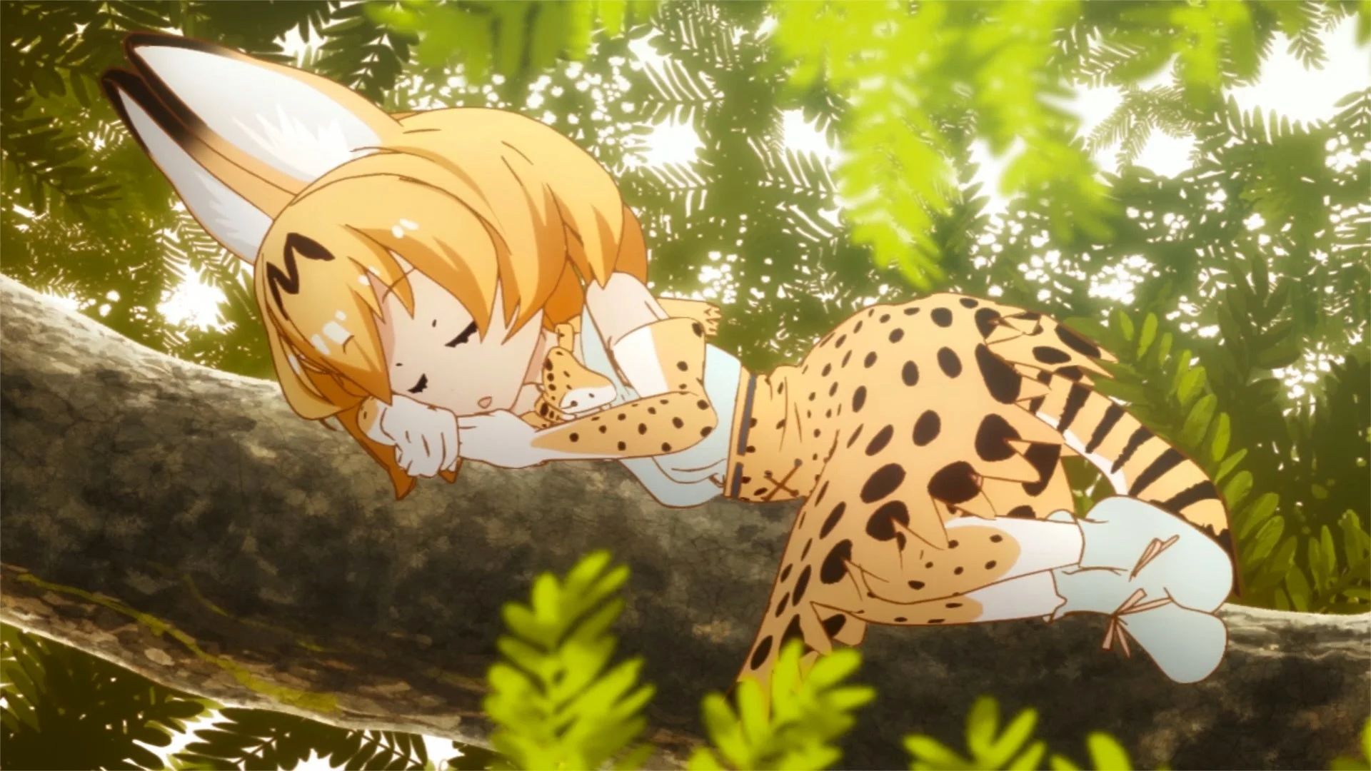 けものフレンズ サーバル
