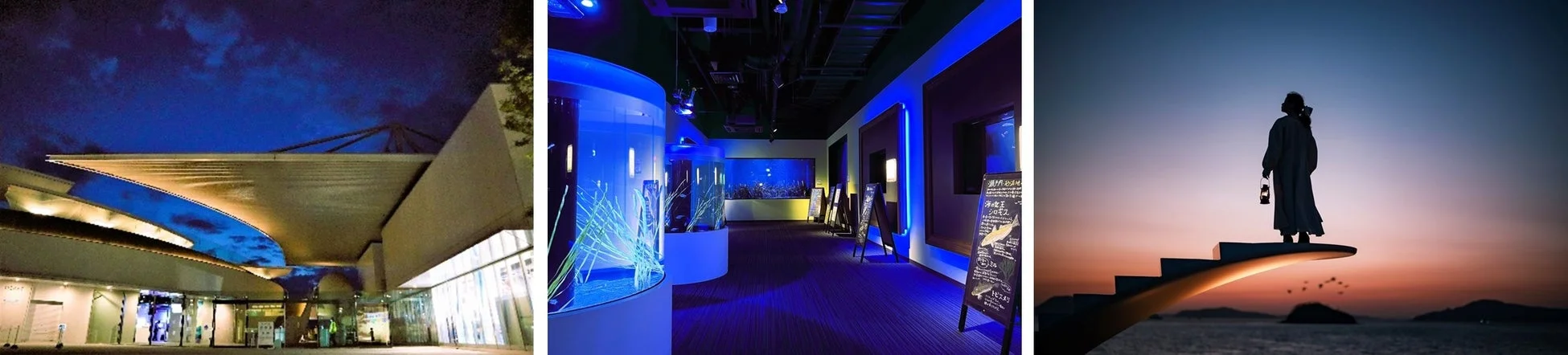 青い光に満ちた水族館の展示風景