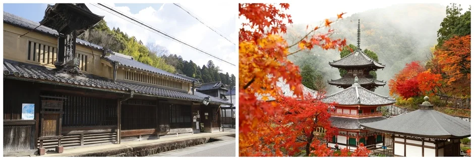 伝統的な日本家屋の街並みと紅葉に彩られた寺院