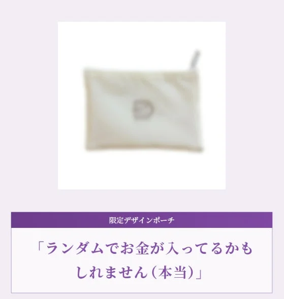 限定デザインポーチ