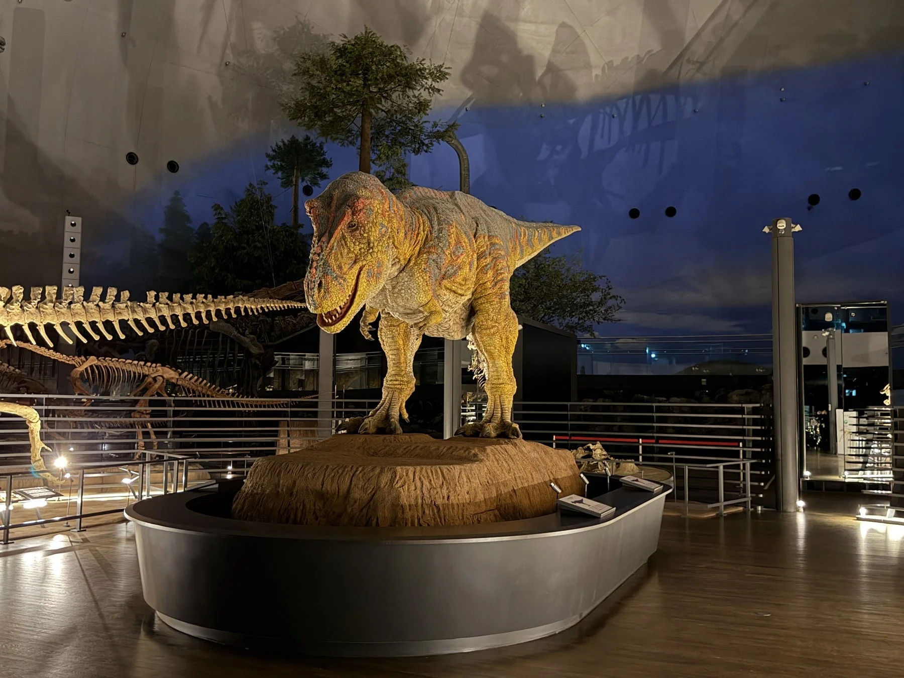 薄暗い博物館のような空間に、実物大のティラノサウルスとみられる恐竜の模型が展示されています