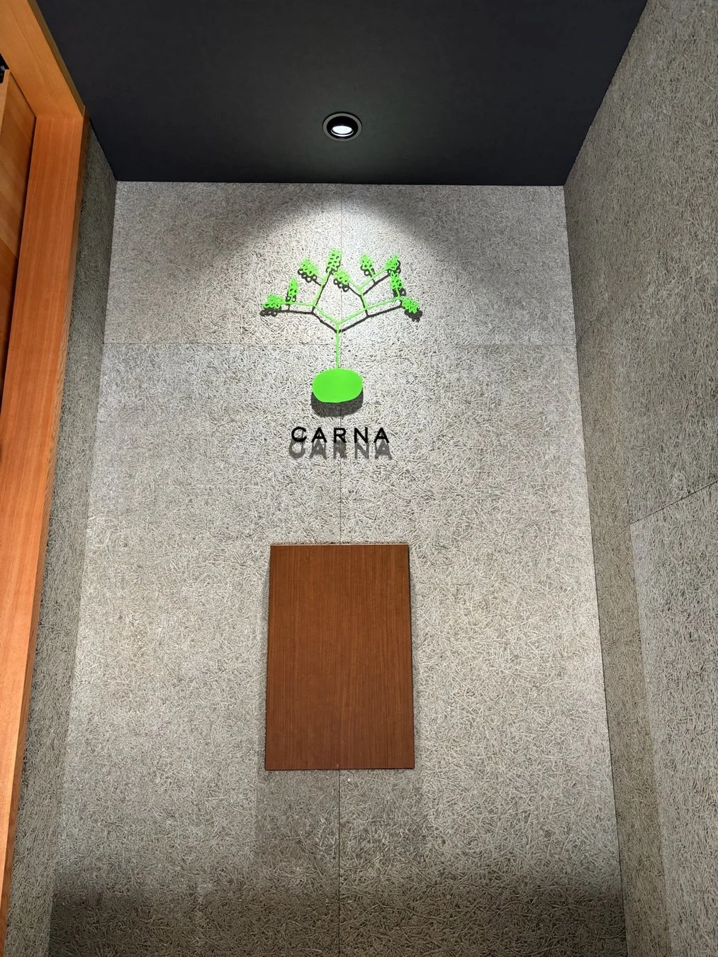 CARNA ロゴ