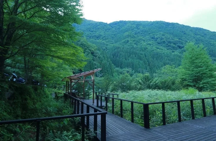 湯元長座周辺の自然風景