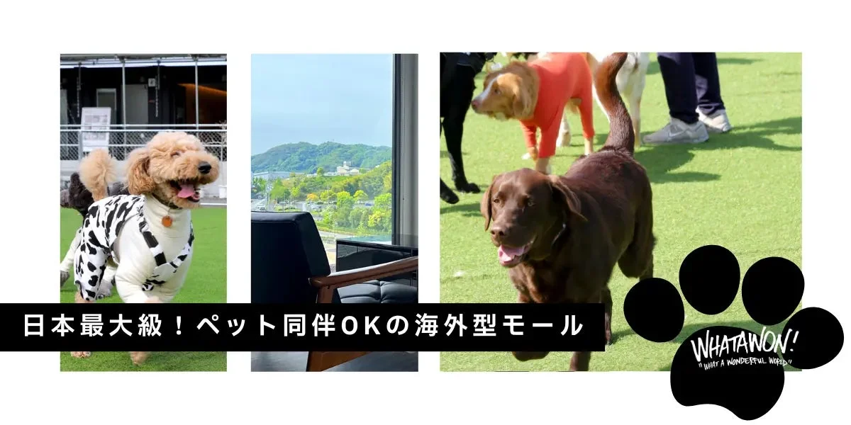 ペット同伴OKのモール