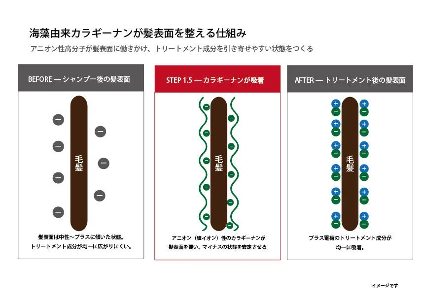 カラギーナン仕組み