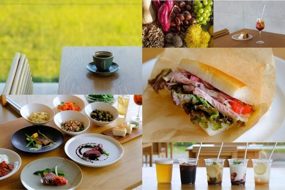 料理、ドリンク、食材コラージュ