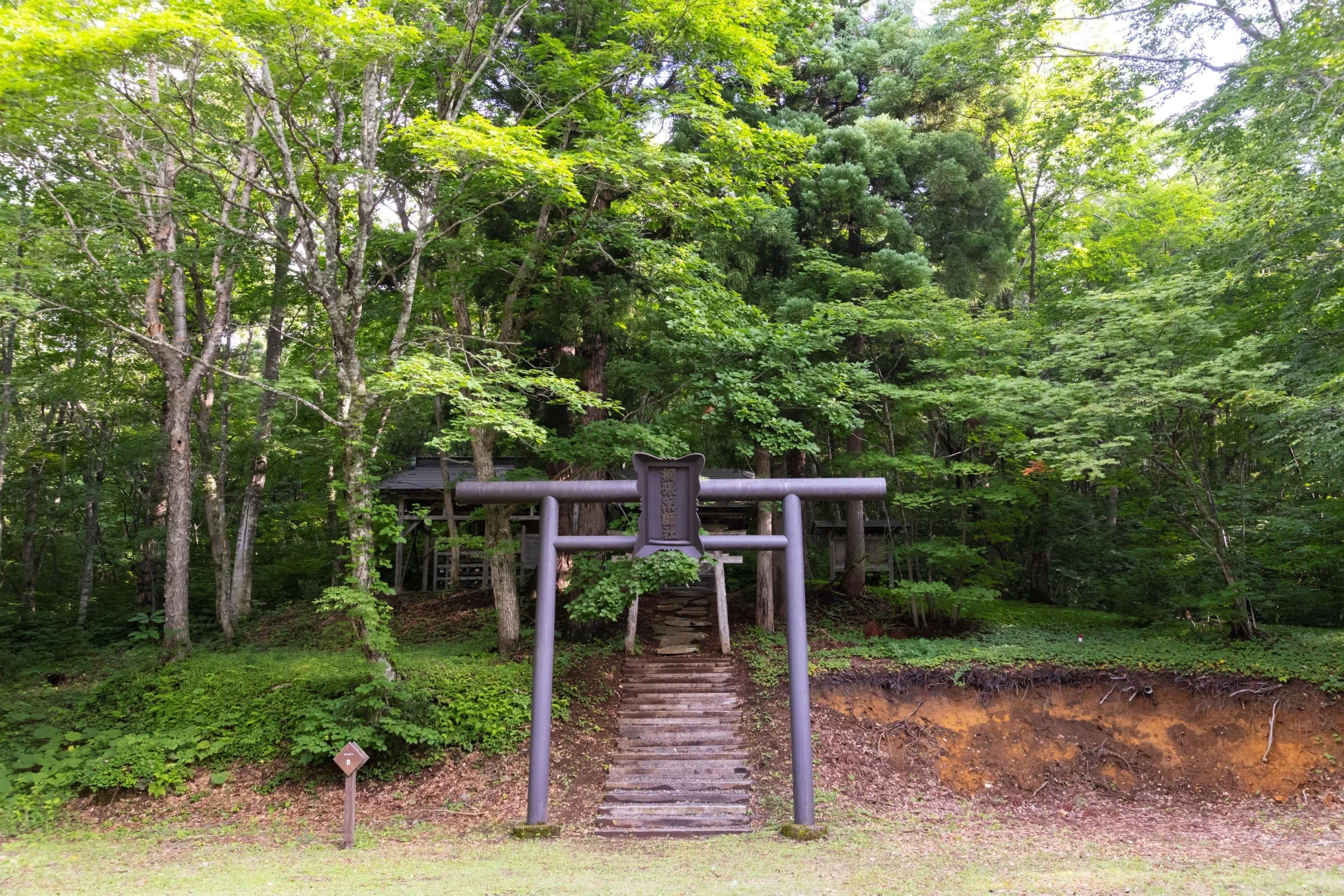 網張薬師社への鳥居と参道