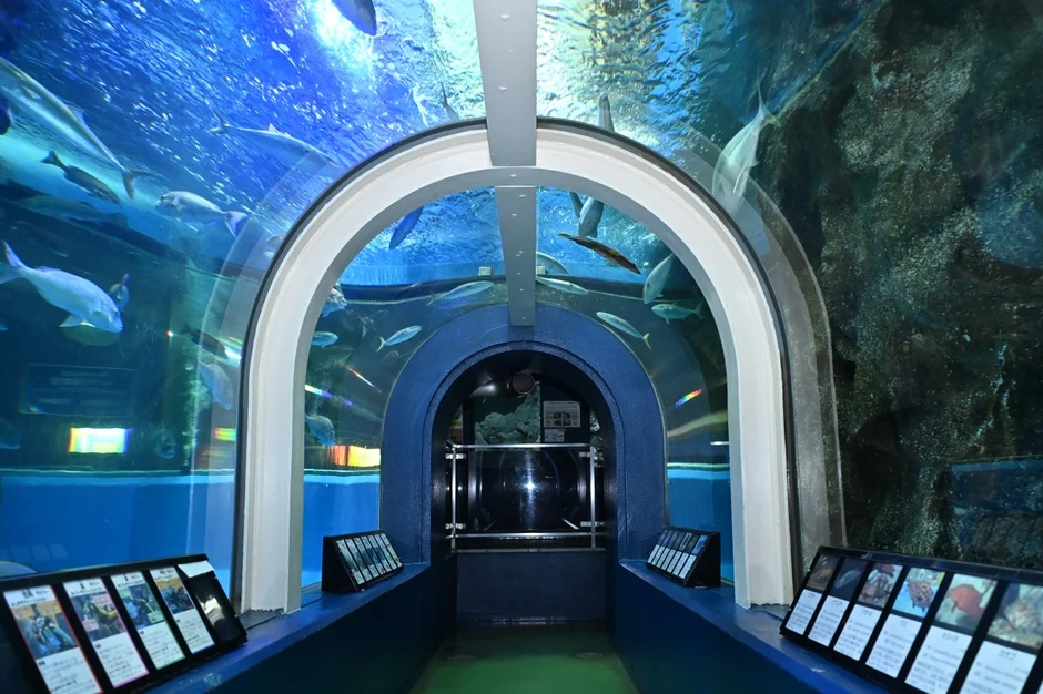 水族館の水中トンネル