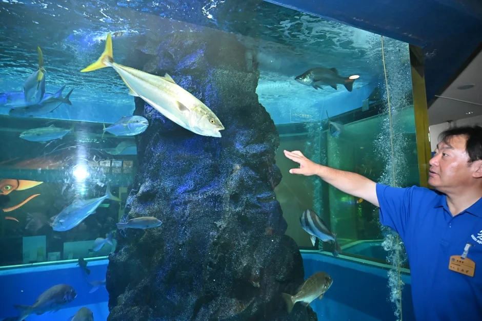 大水槽を解説する水族館スタッフ